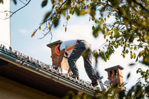 Best Emergency Roof Repair Services  in Griggsvle, IL